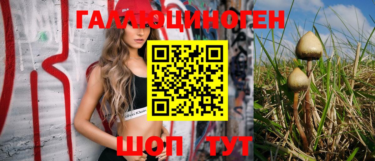 Псилоцибиновые грибы MAGIC MUSHROOMS  Вход с VPN  Пыть-Ях 